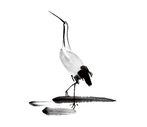 選墓